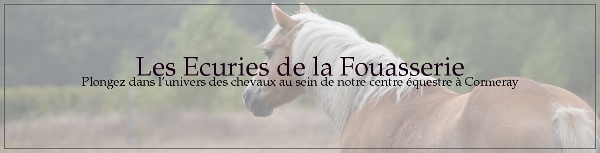 Les Ecuries de la Fouasserie