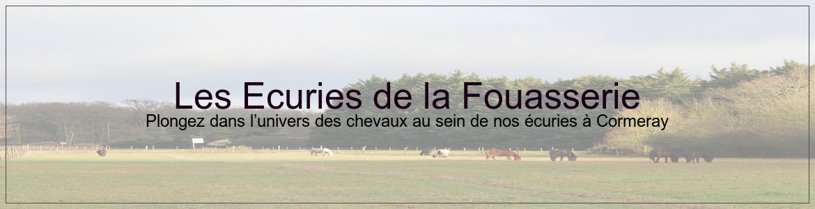 Les Ecuries de la Fouasserie